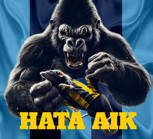 HATA AIK!